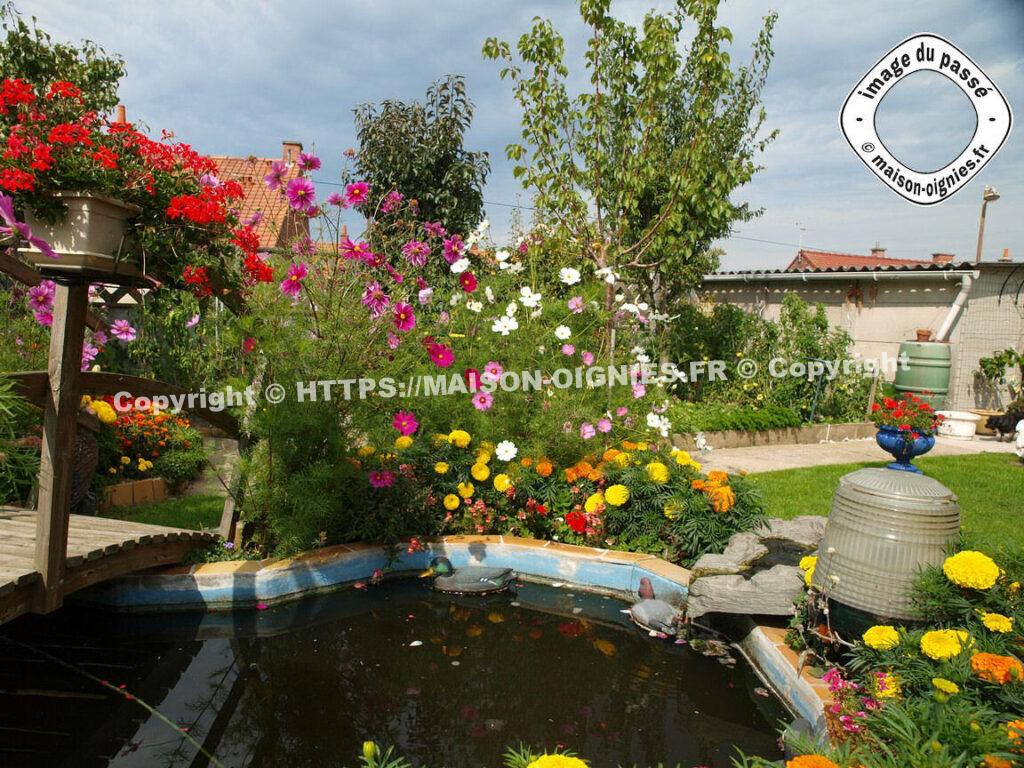 Bassin carpes ancienne image 1