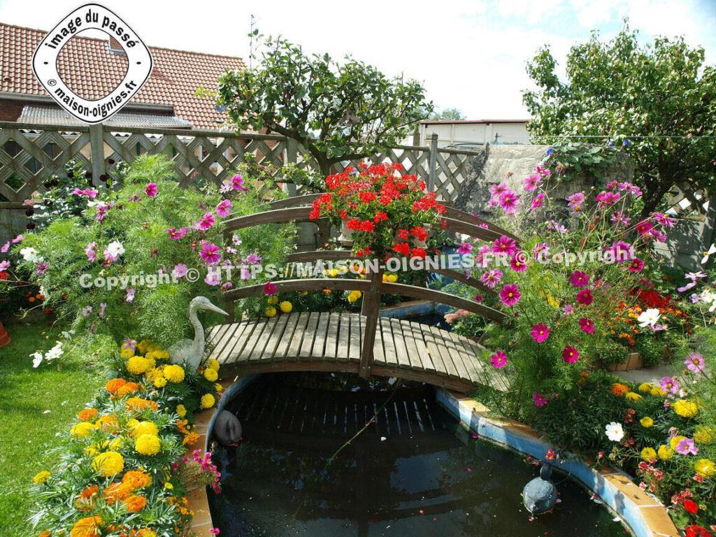 Bassin carpes ancienne image 2